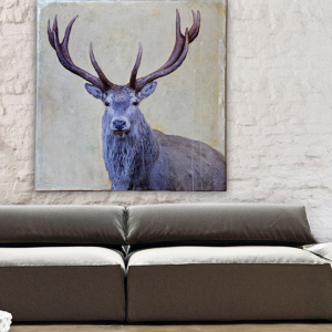 Sofa mit modernen Hirsch