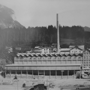 Saullichwerk Perlmoos, Kirchbichl, ca. 1930, 14 Schachtöfen mit Klinkerhalle
